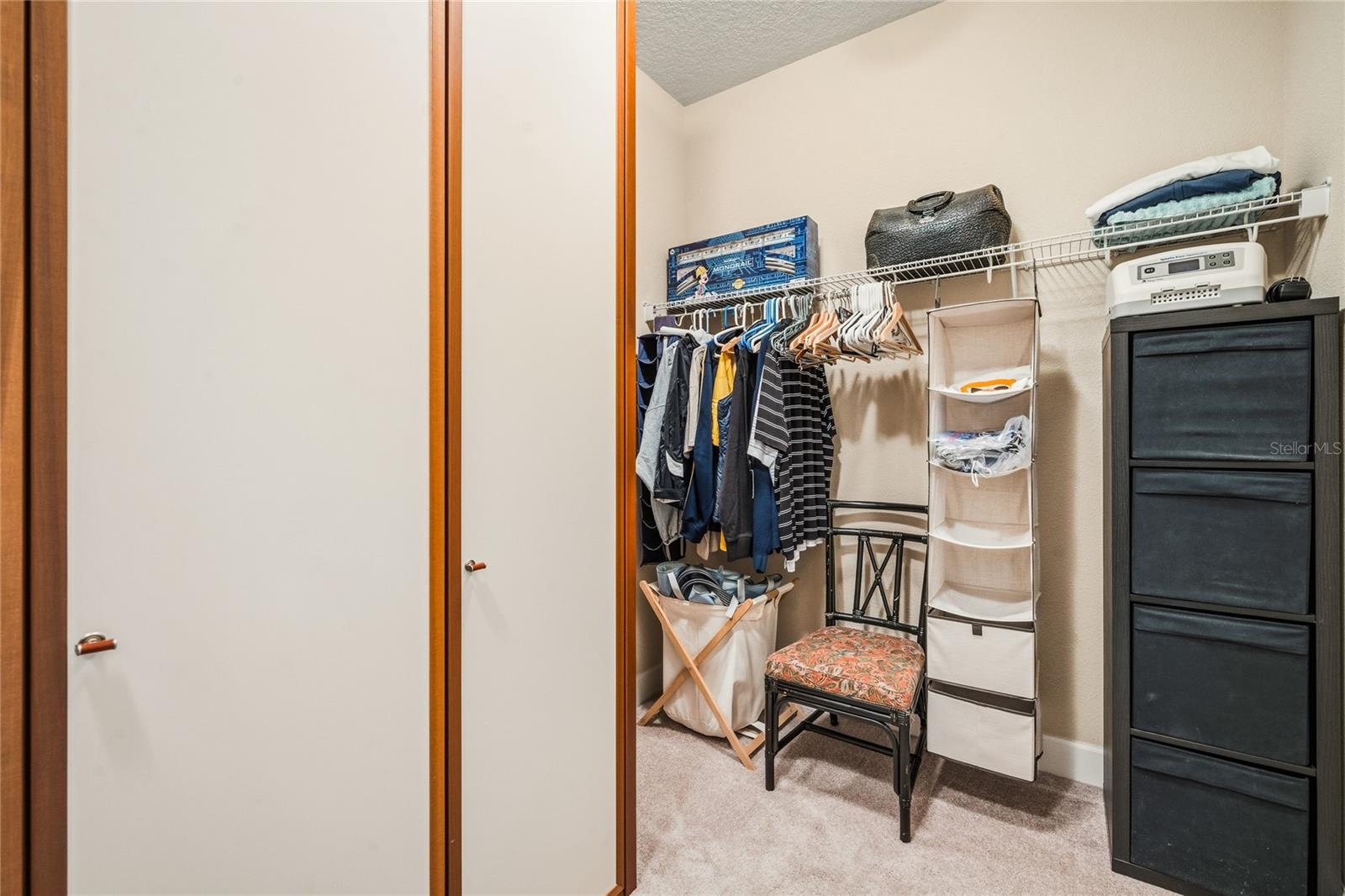 7174 BEEK ST, WINDERMERE, FL, 34786