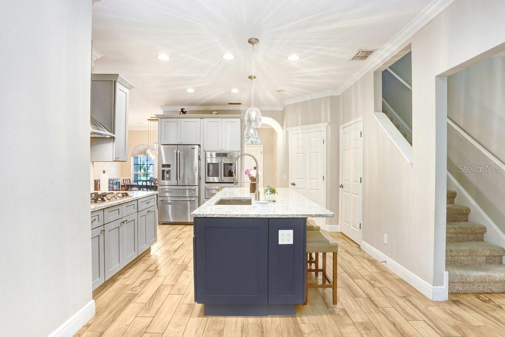 3915 DUKE FIRTH ST, LAND O LAKES, FL, 34638