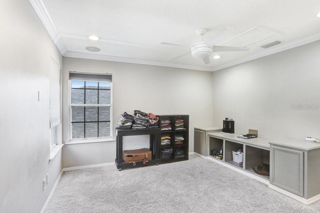 3915 DUKE FIRTH ST, LAND O LAKES, FL, 34638