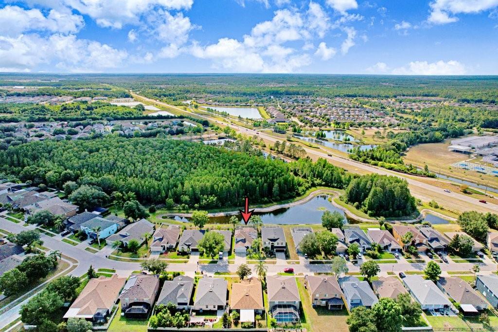 3915 DUKE FIRTH ST, LAND O LAKES, FL, 34638