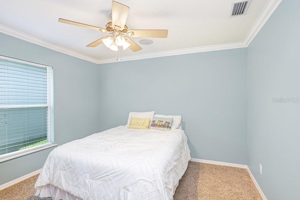 3915 DUKE FIRTH ST, LAND O LAKES, FL, 34638