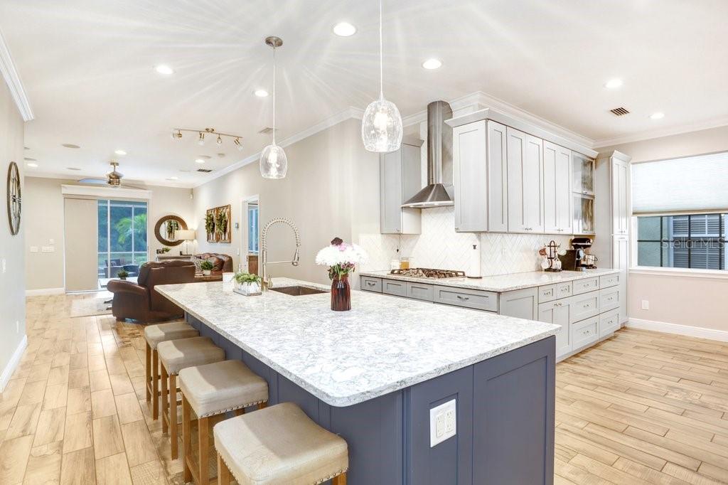3915 DUKE FIRTH ST, LAND O LAKES, FL, 34638