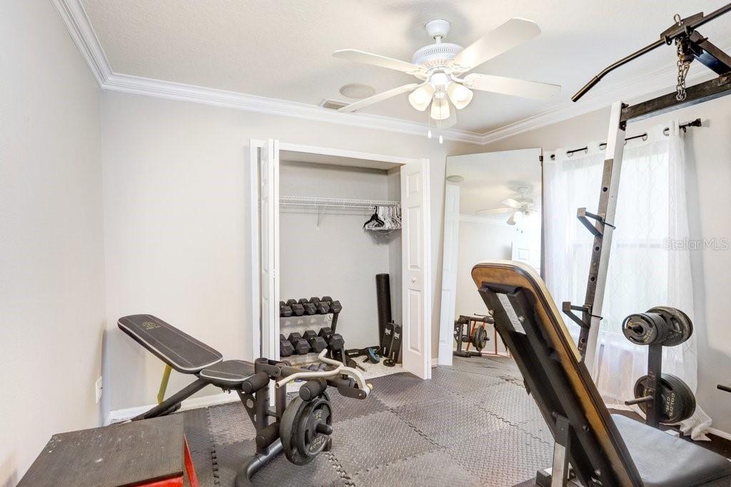 3915 DUKE FIRTH ST, LAND O LAKES, FL, 34638