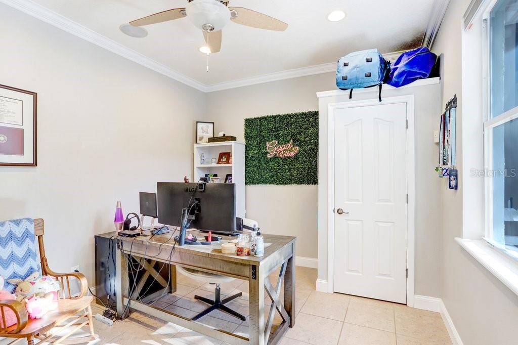 3915 DUKE FIRTH ST, LAND O LAKES, FL, 34638