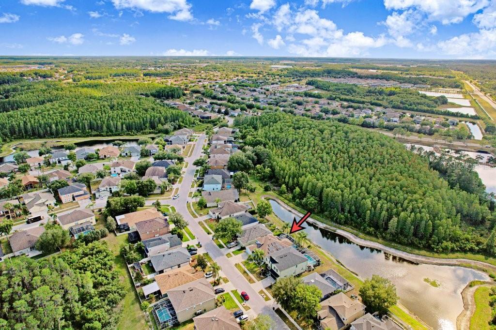 3915 DUKE FIRTH ST, LAND O LAKES, FL, 34638
