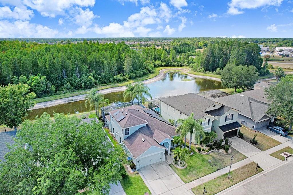 3915 DUKE FIRTH ST, LAND O LAKES, FL, 34638