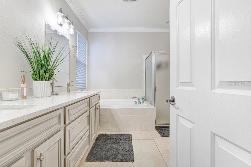 3915 DUKE FIRTH ST, LAND O LAKES, FL, 34638