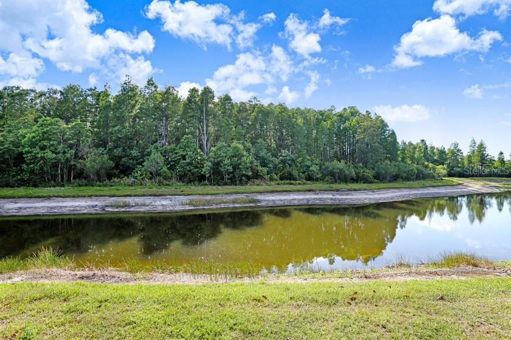 3915 DUKE FIRTH ST, LAND O LAKES, FL, 34638