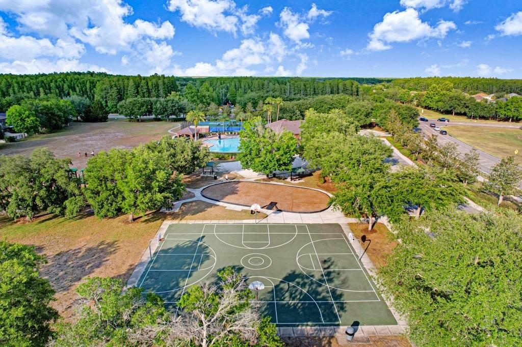 3915 DUKE FIRTH ST, LAND O LAKES, FL, 34638