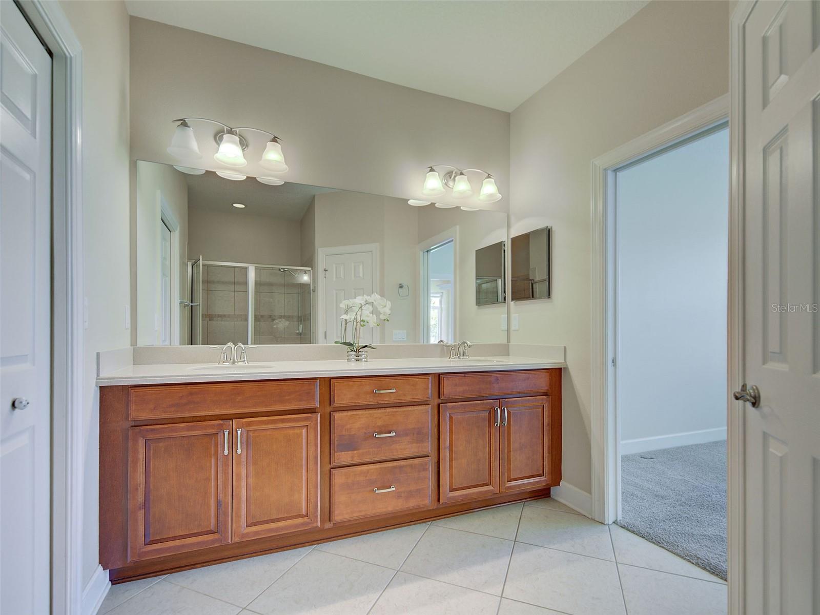 2551 TERRACINA DR, VENICE, FL, 34292