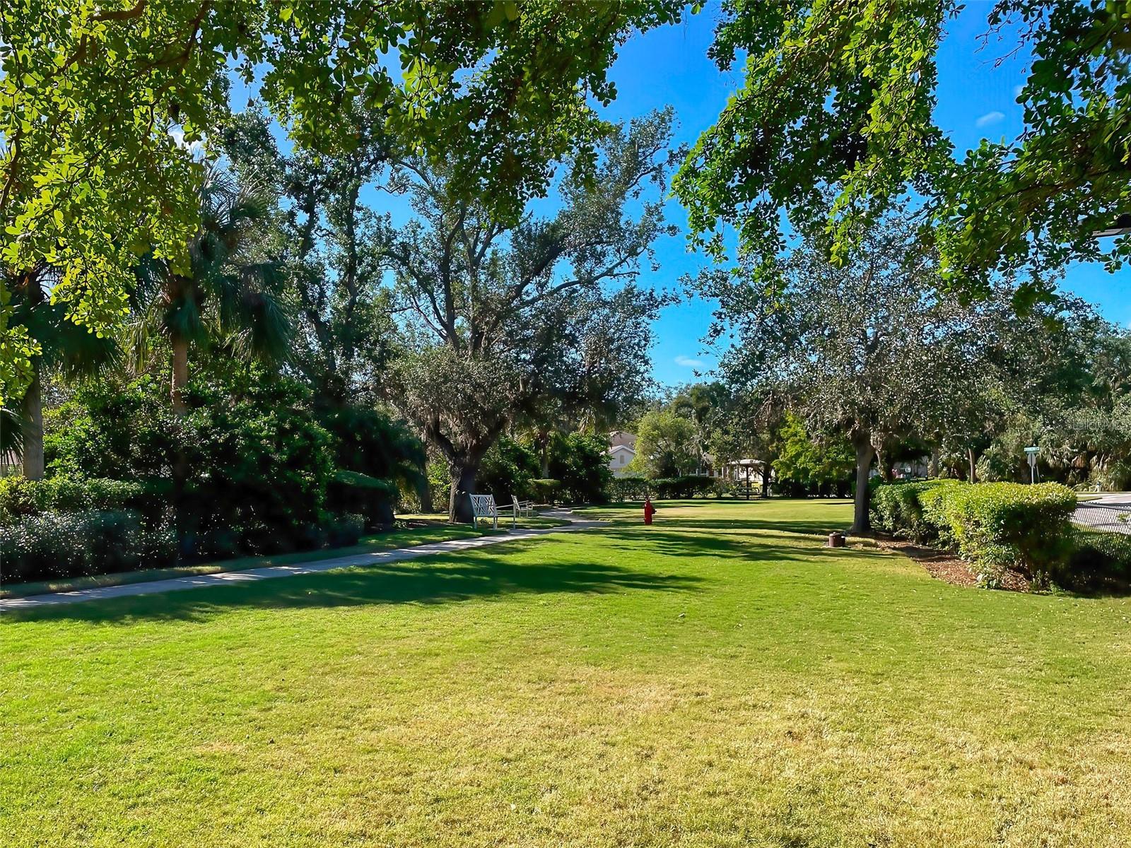 2551 TERRACINA DR, VENICE, FL, 34292