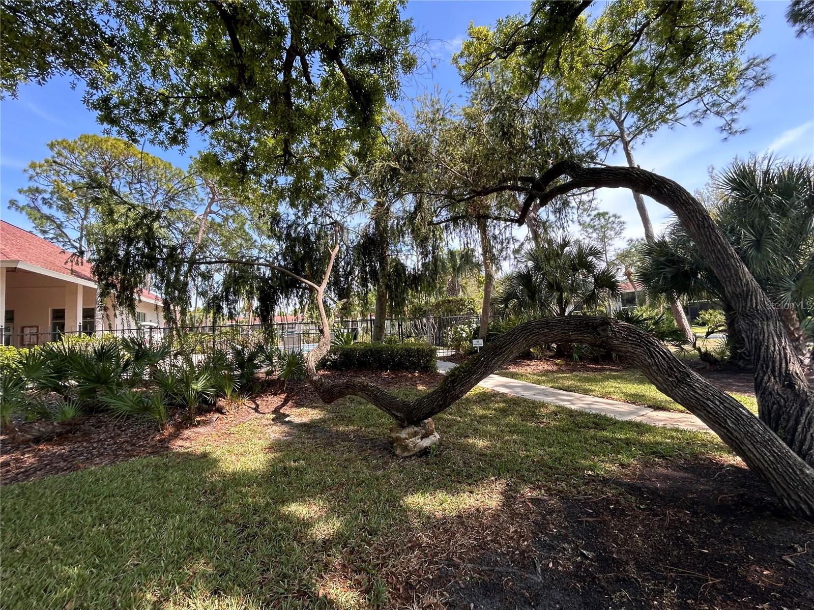 972 LA COSTA CIR #3, SARASOTA, FL, 34237