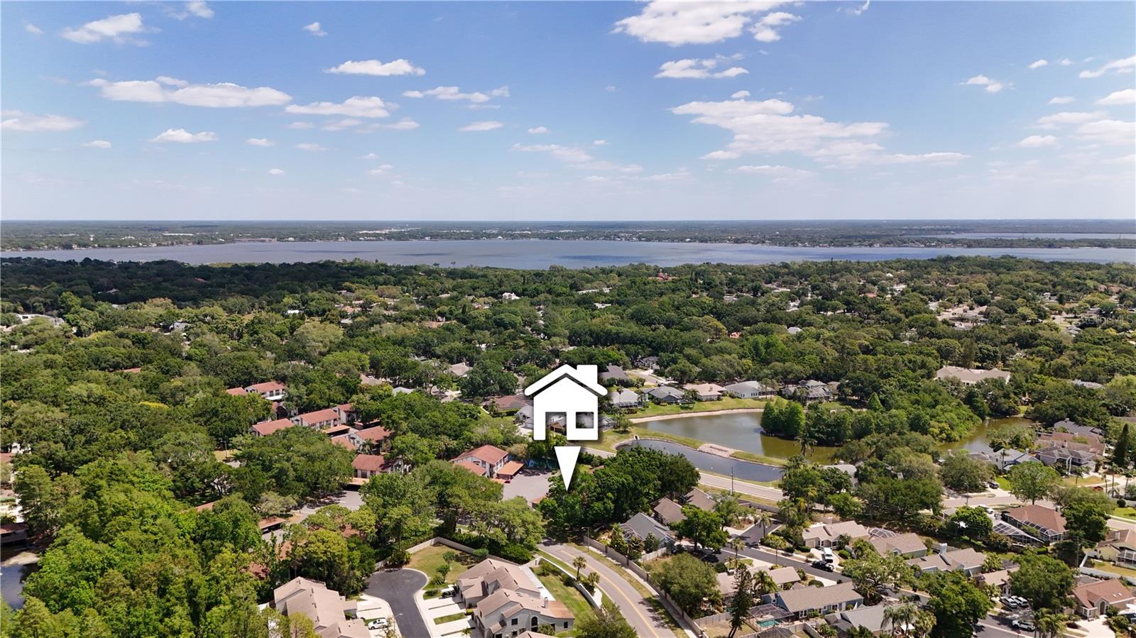 514 TABOR CT #C, SAFETY HARBOR, FL, 34695