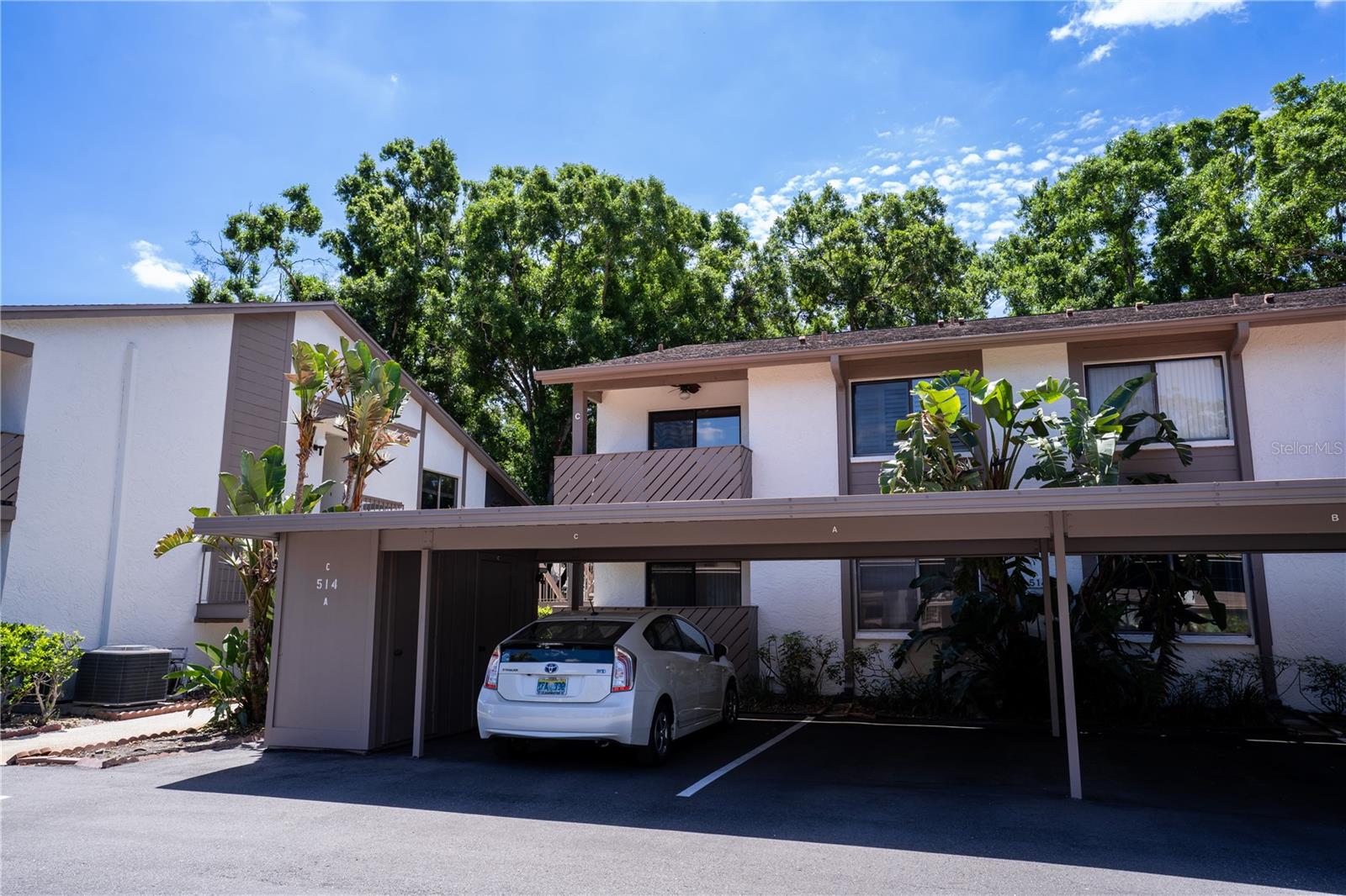 514 TABOR CT #C, SAFETY HARBOR, FL, 34695