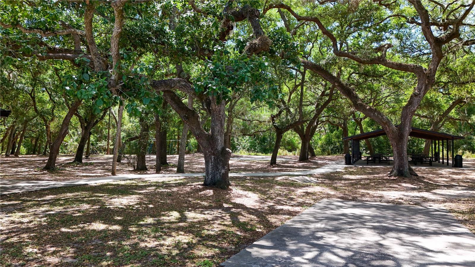 514 TABOR CT #C, SAFETY HARBOR, FL, 34695