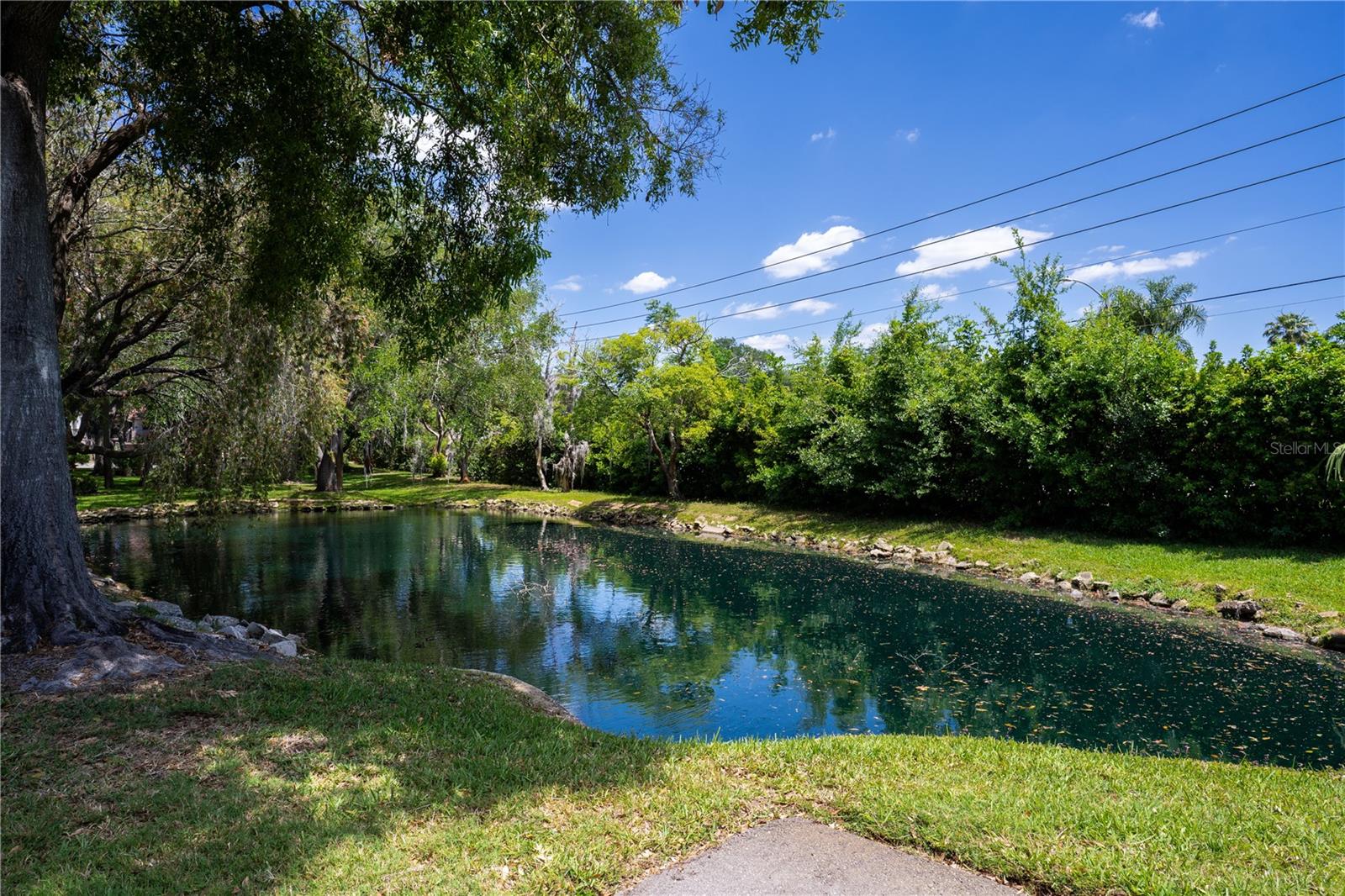 514 TABOR CT #C, SAFETY HARBOR, FL, 34695