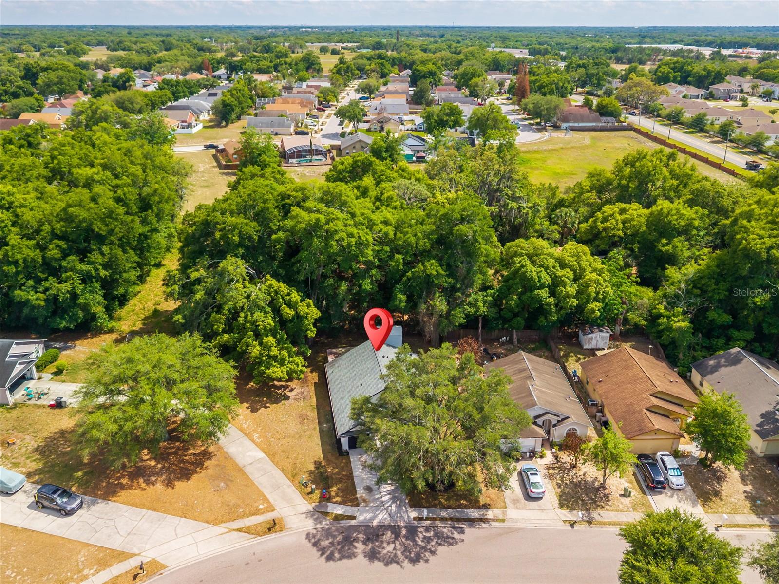 1038 SHEELER HILLS DR, APOPKA, FL, 32703