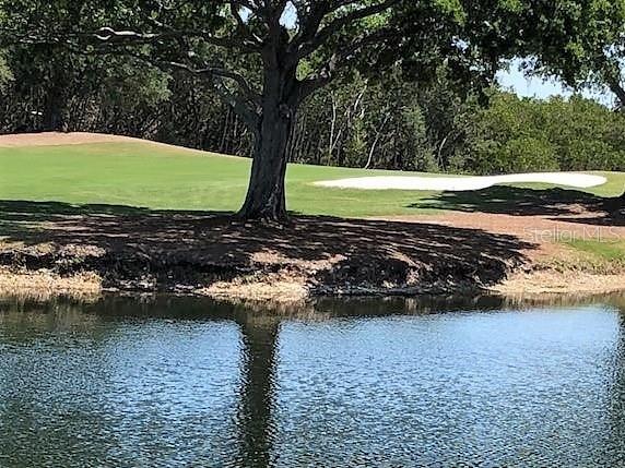 2333 FEATHER SOUND DR #B102, CLEARWATER, FL, 33762