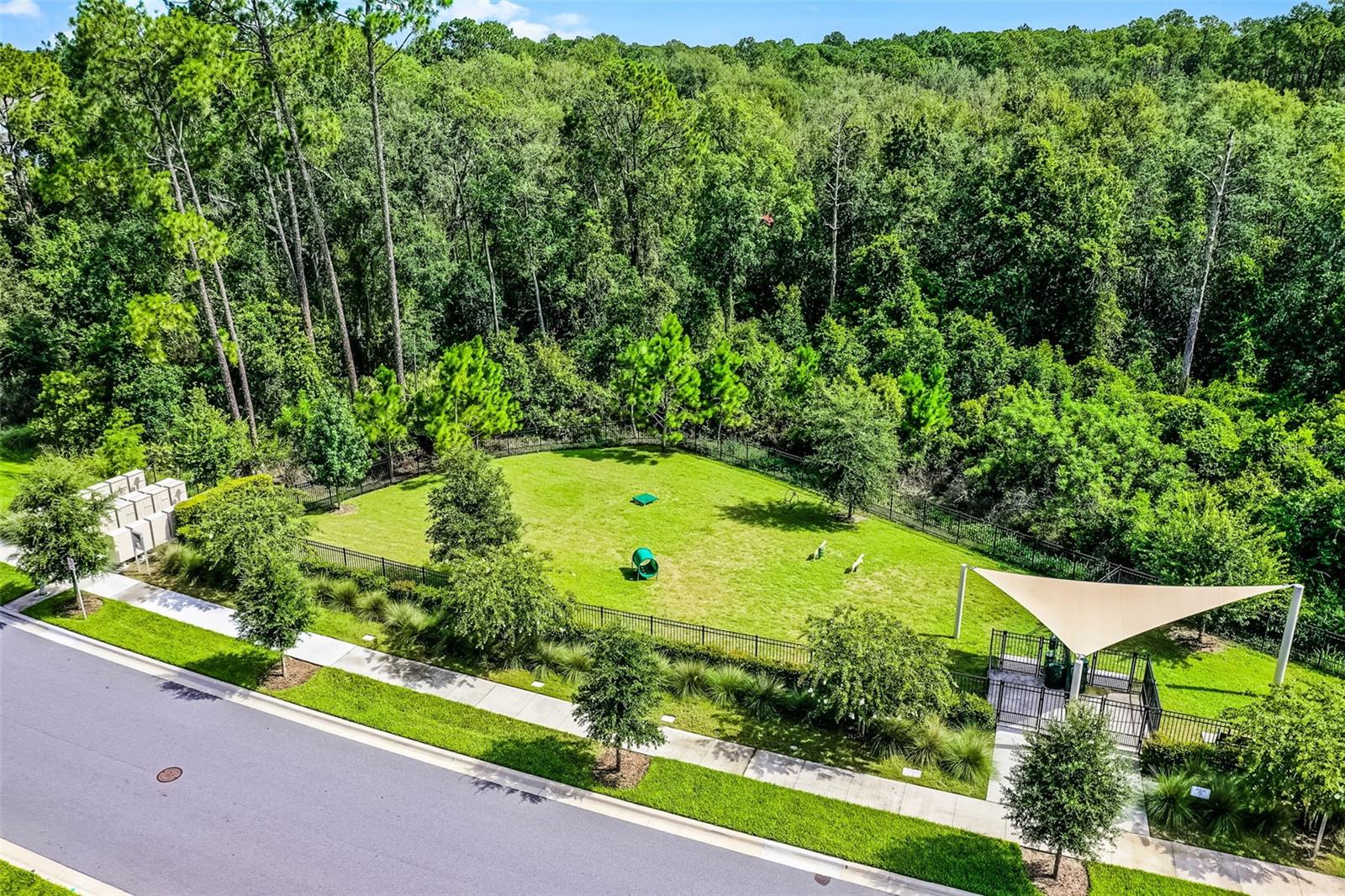 17406 HONEYBELL TANGELO CT, WINTER GARDEN, FL, 34787