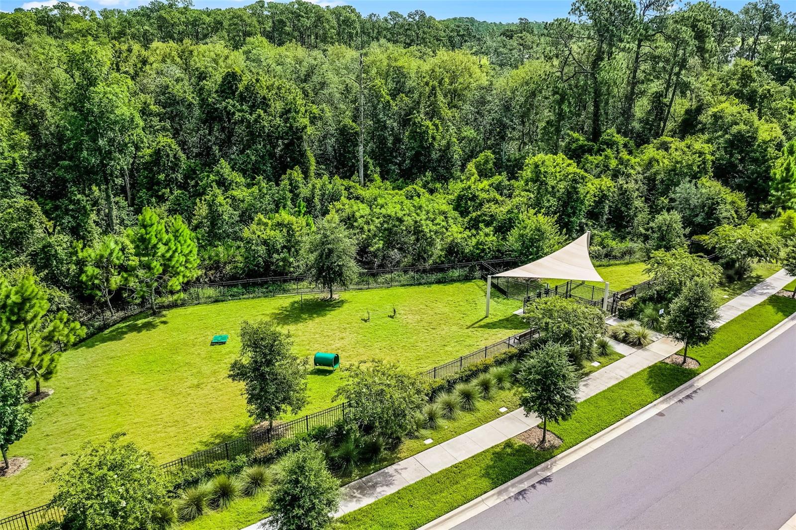 17406 HONEYBELL TANGELO CT, WINTER GARDEN, FL, 34787