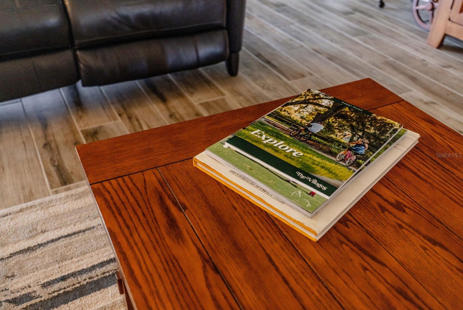 580 GOUGH PL, THE VILLAGES, FL, 32163