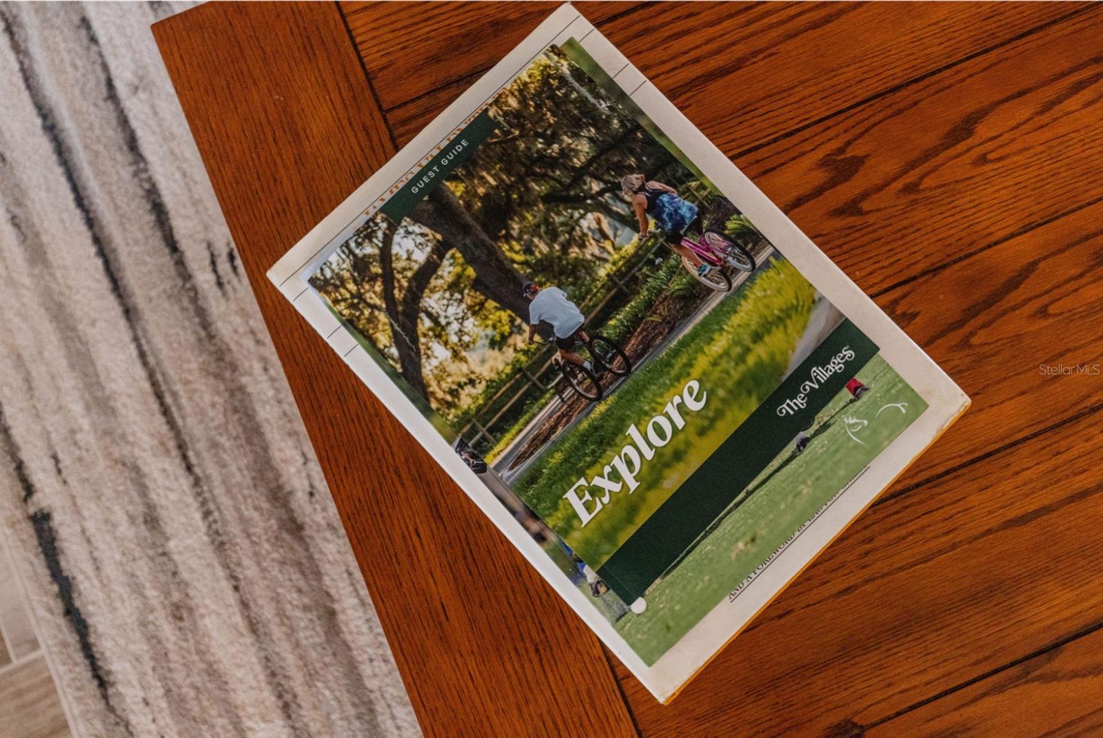 580 GOUGH PL, THE VILLAGES, FL, 32163