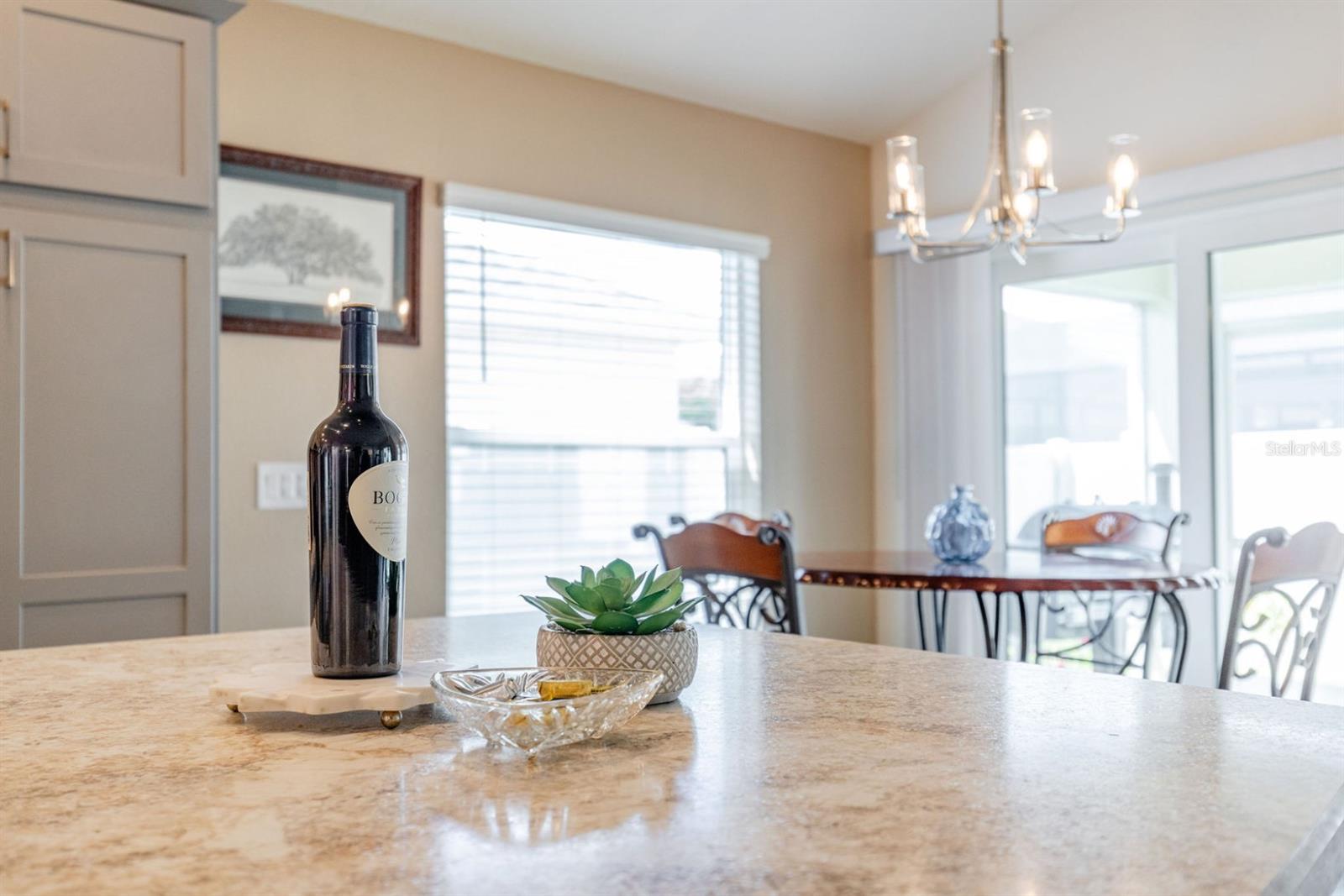 580 GOUGH PL, THE VILLAGES, FL, 32163