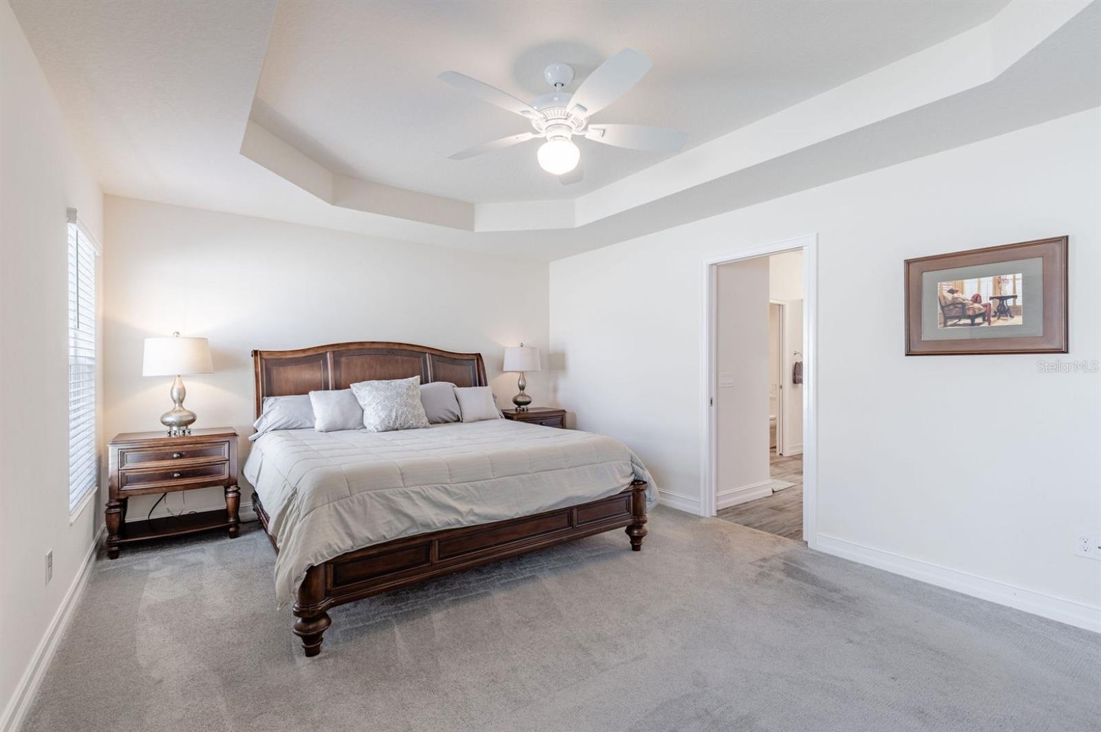 580 GOUGH PL, THE VILLAGES, FL, 32163