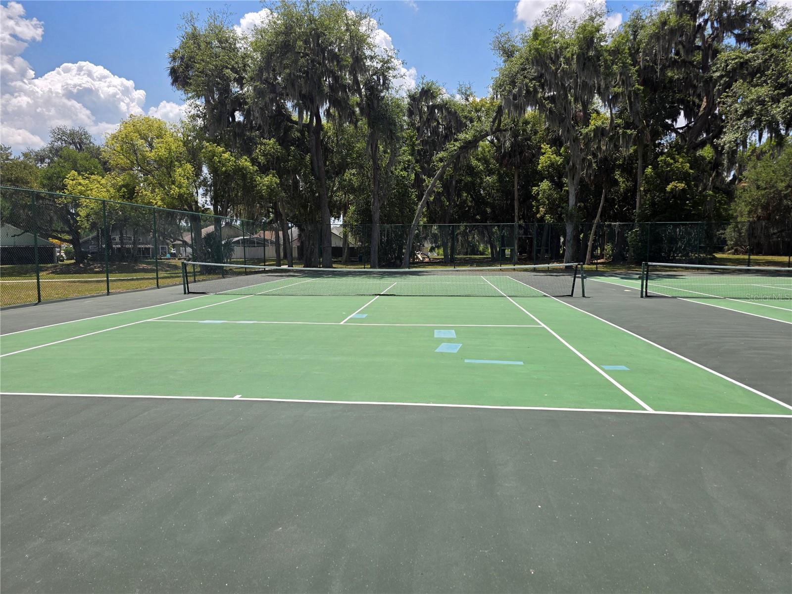 3025 DELLCREST PL, LAKE MARY, FL, 32746