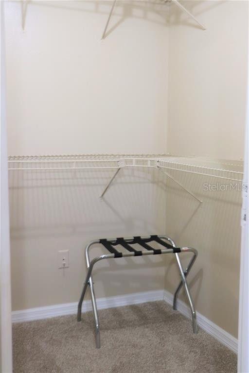 140 HUNTER LAKE DR #G, OLDSMAR, FL, 34677