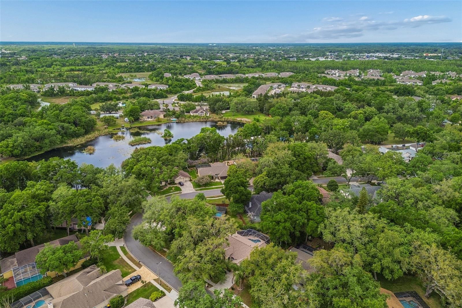 1336 WATERWOOD DR, LUTZ, FL, 33559