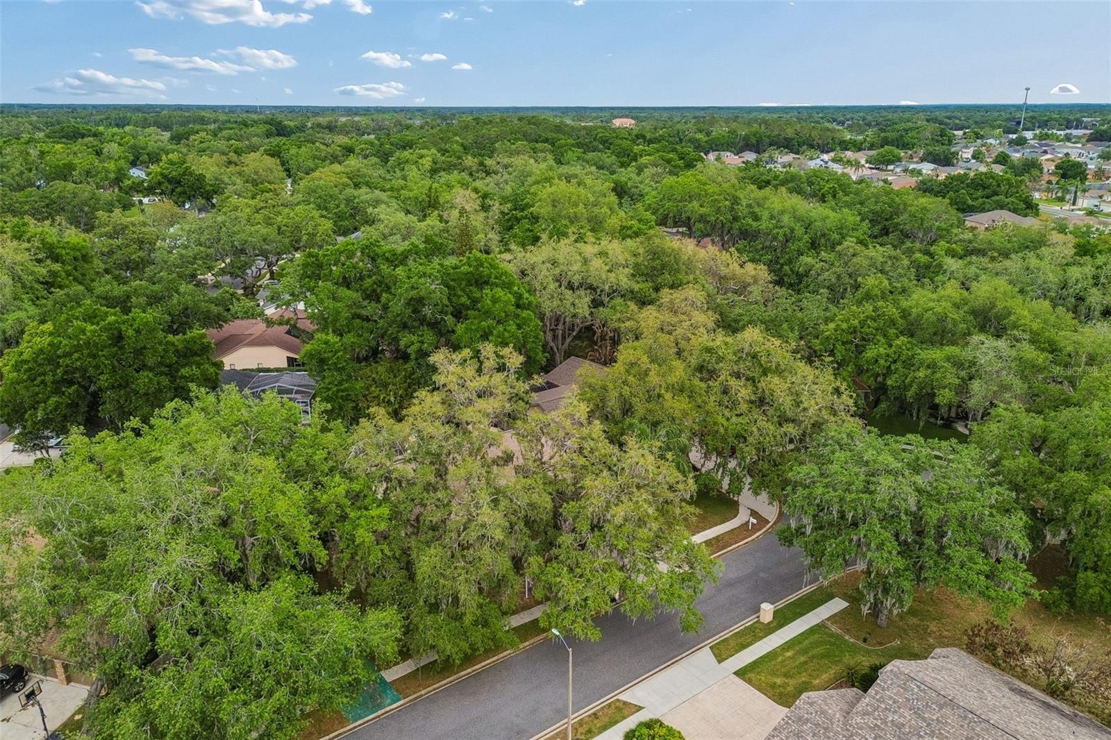 1336 WATERWOOD DR, LUTZ, FL, 33559