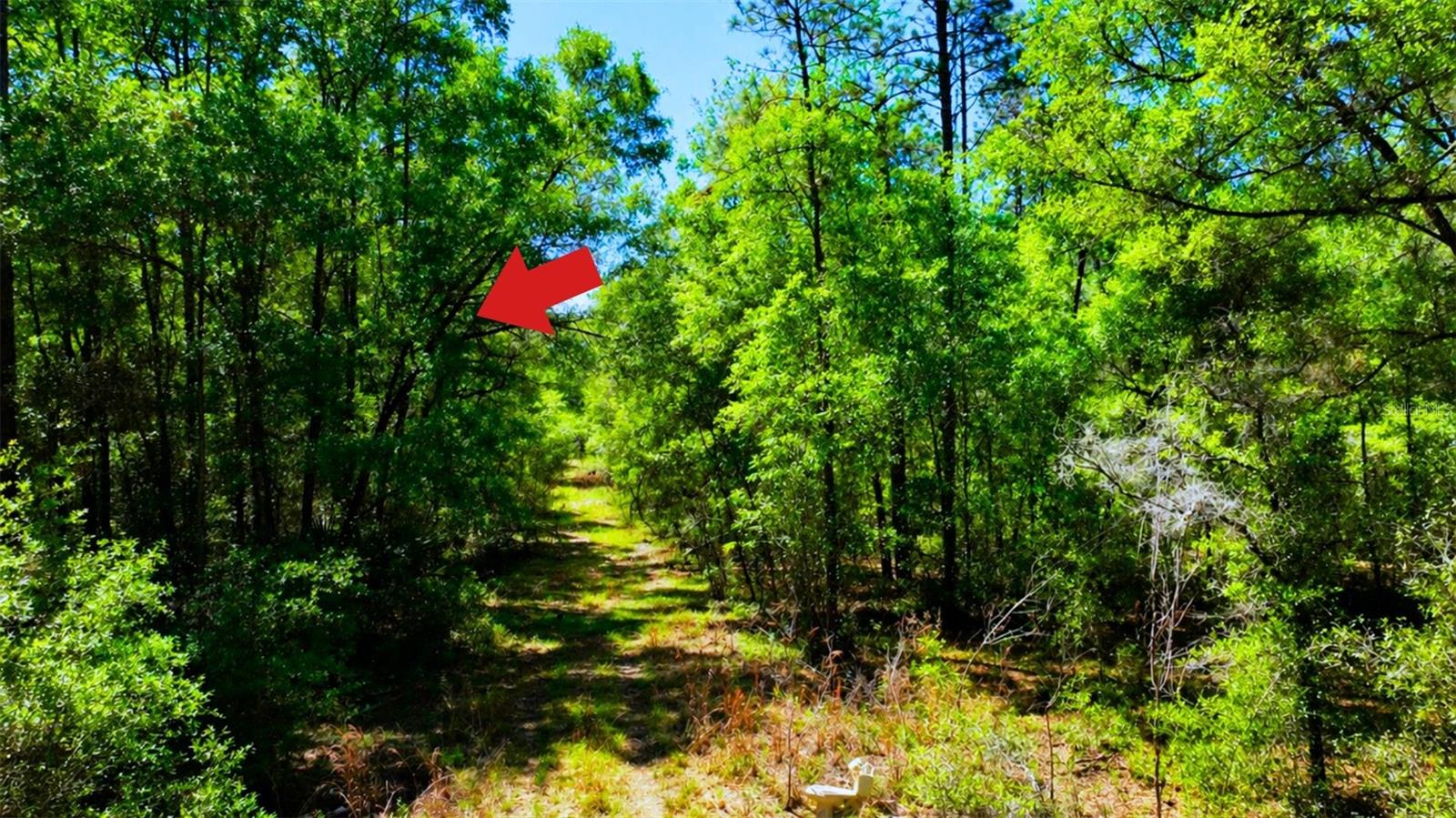 TBD SW 24TH PL, OCALA, FL, 34481