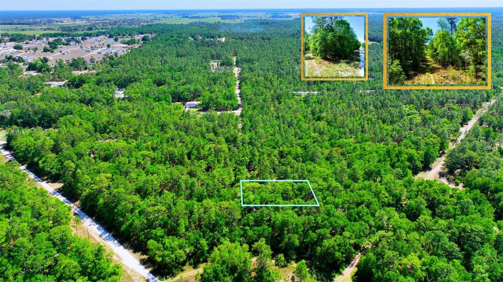 TBD SW 24TH PL, OCALA, FL, 34481