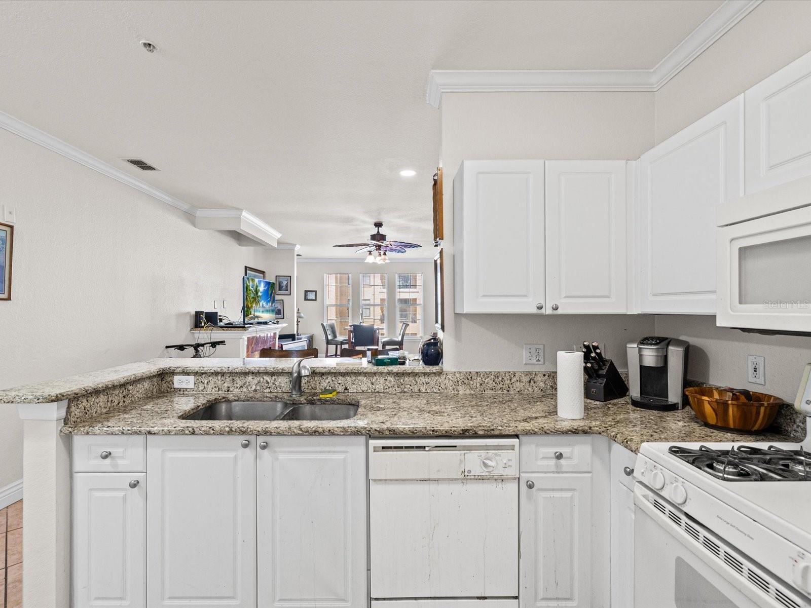 2731 VIA CAPRI #925, CLEARWATER, FL, 33764