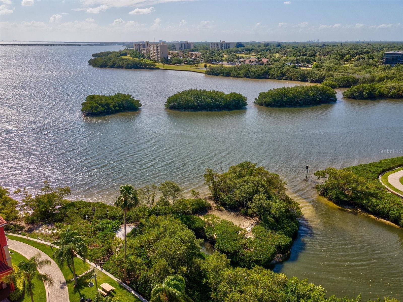 2731 VIA CAPRI #925, CLEARWATER, FL, 33764