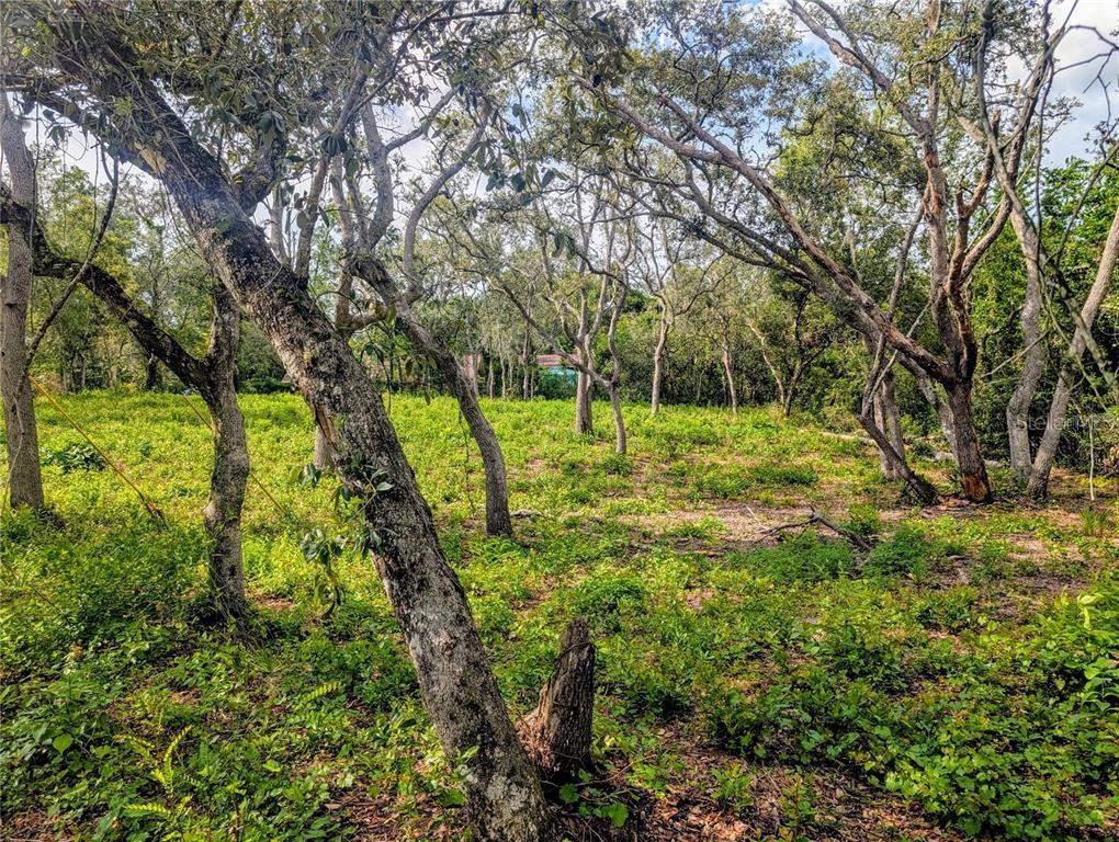 0 MERLIN CIR, DADE CITY, FL, 33523