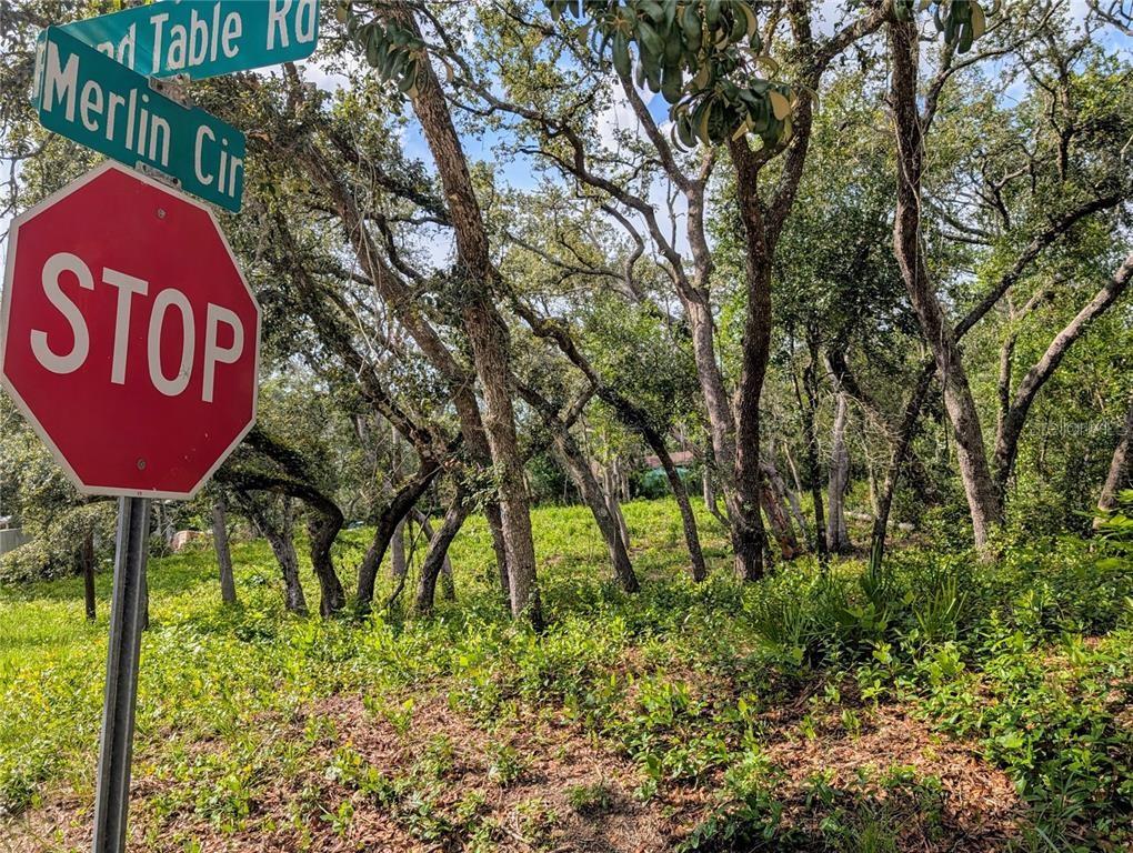 0 MERLIN CIR, DADE CITY, FL, 33523