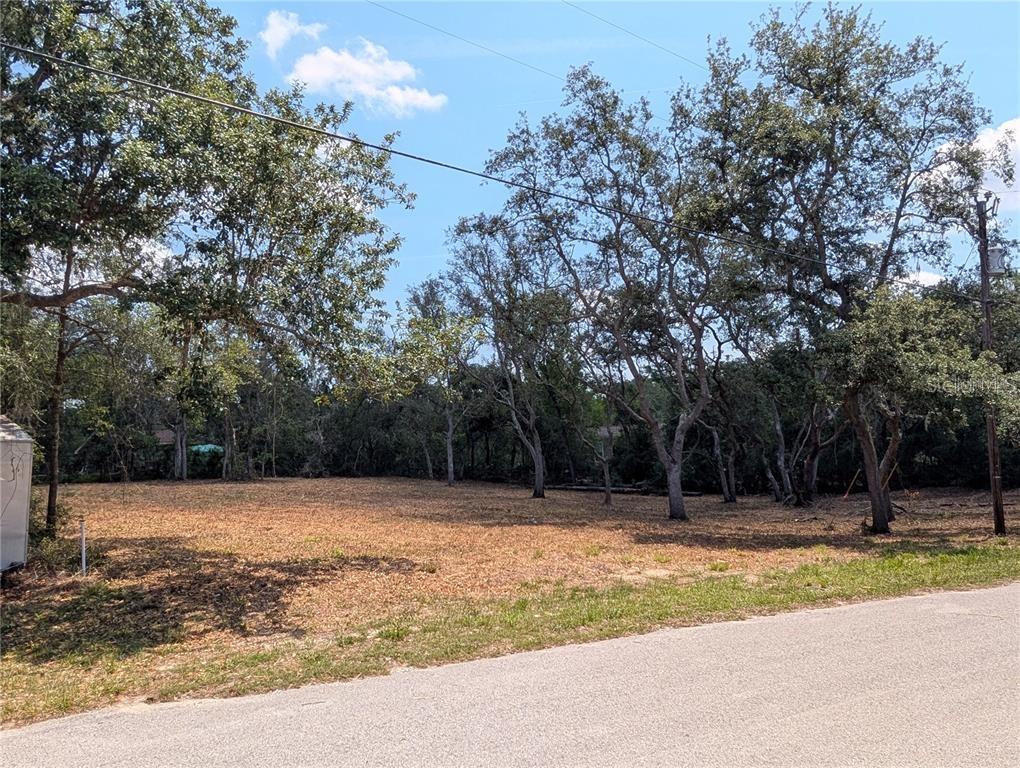 0 MERLIN CIR, DADE CITY, FL, 33523