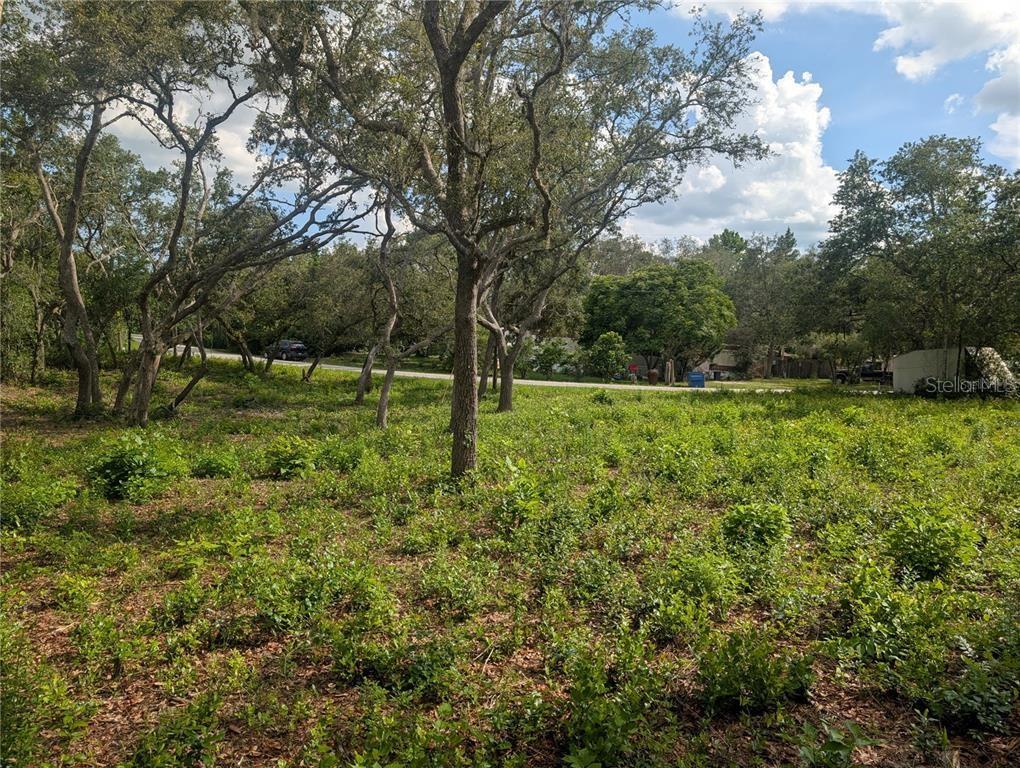 0 MERLIN CIR, DADE CITY, FL, 33523