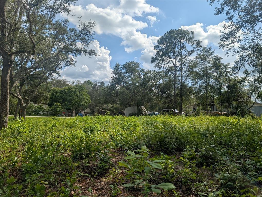 0 MERLIN CIR, DADE CITY, FL, 33523