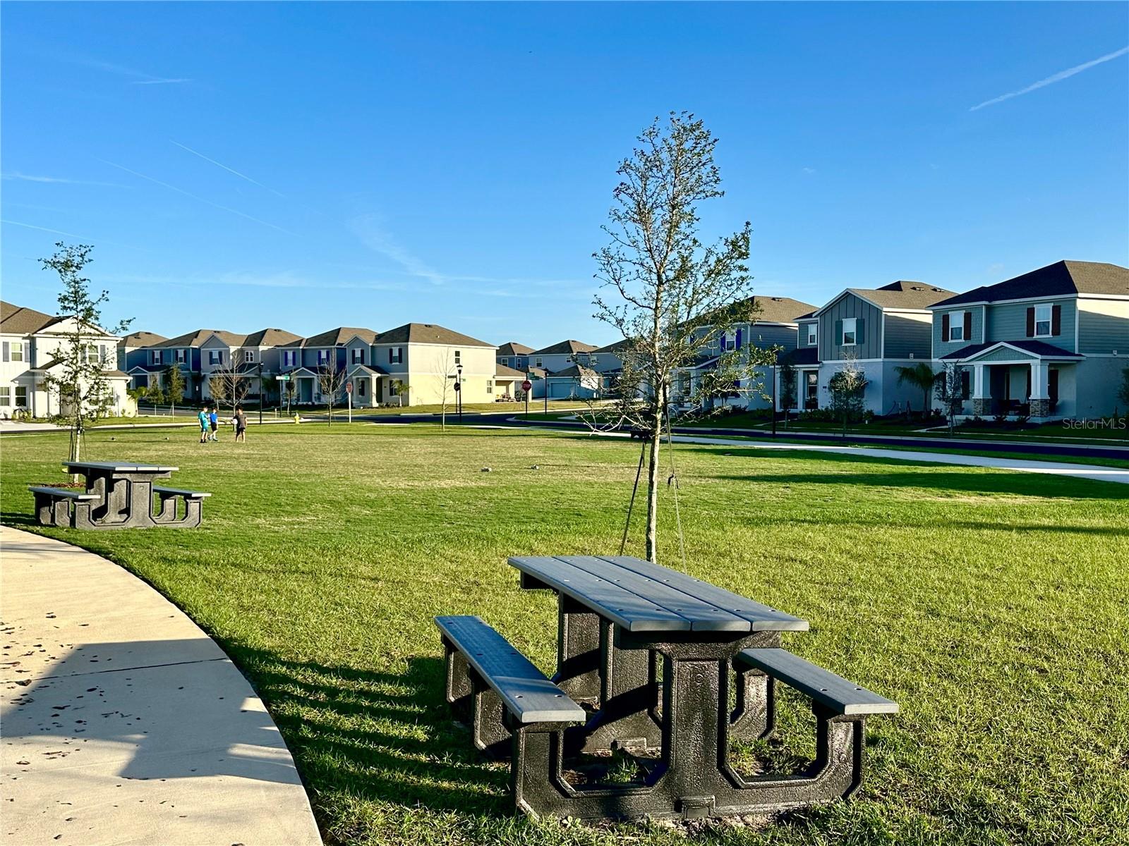 6457 BLISFULL STREET ST, CLERMONT, FL, 34714