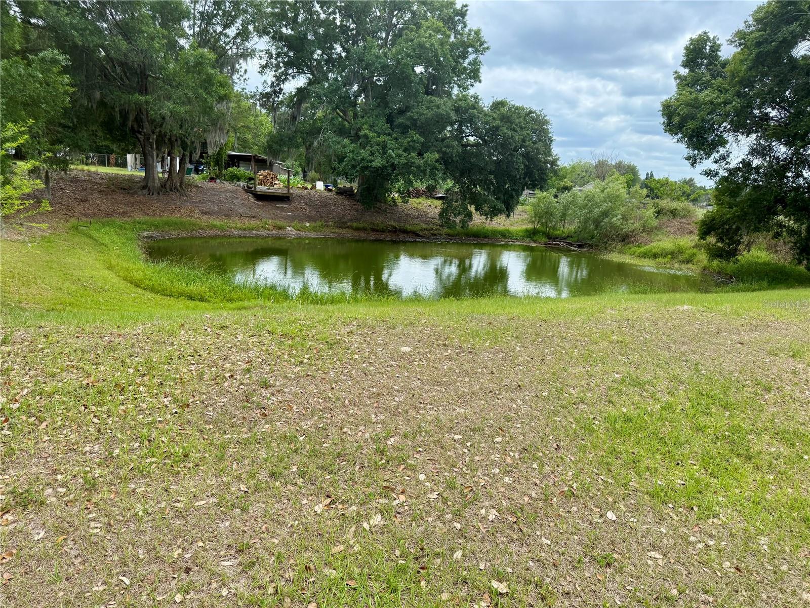 3613 MINDEDAHL RD, PLANT CITY, FL, 33567