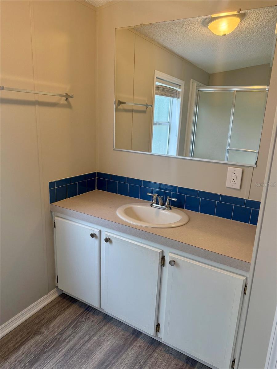 3613 MINDEDAHL RD, PLANT CITY, FL, 33567