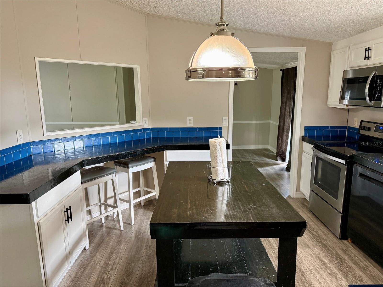 3613 MINDEDAHL RD, PLANT CITY, FL, 33567