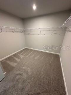 3490 TIMBER CROSSING AVE, BRANDON, FL, 33511