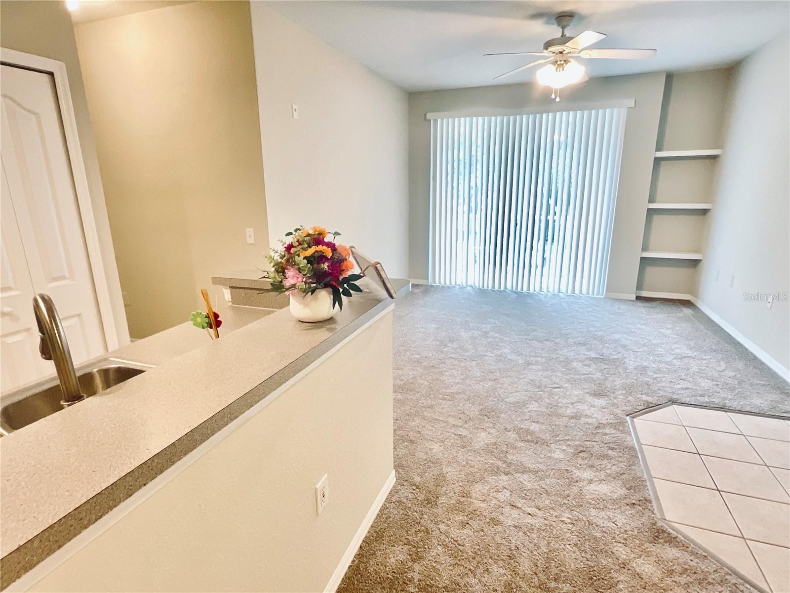 1375 LAKE SHADOW CIR #11203, MAITLAND, FL, 32751