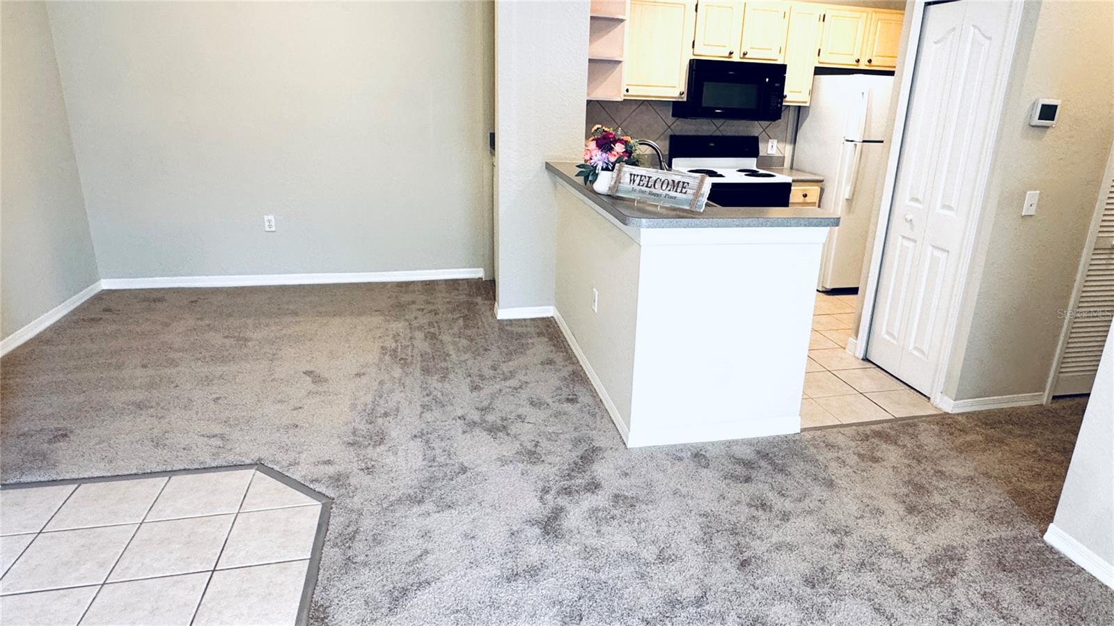 1375 LAKE SHADOW CIR #11203, MAITLAND, FL, 32751