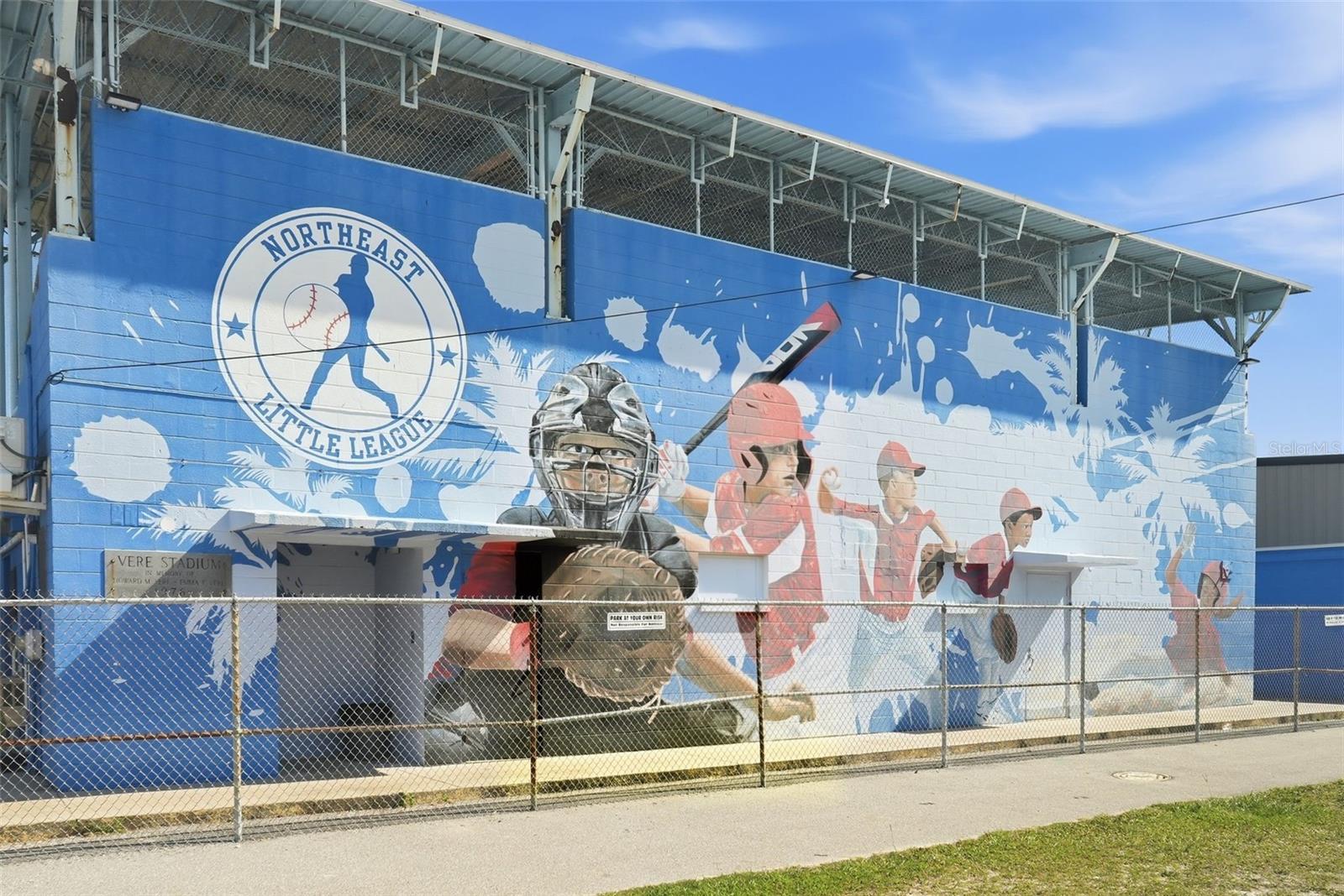 234 36TH AVE NE, ST PETERSBURG, FL, 33704