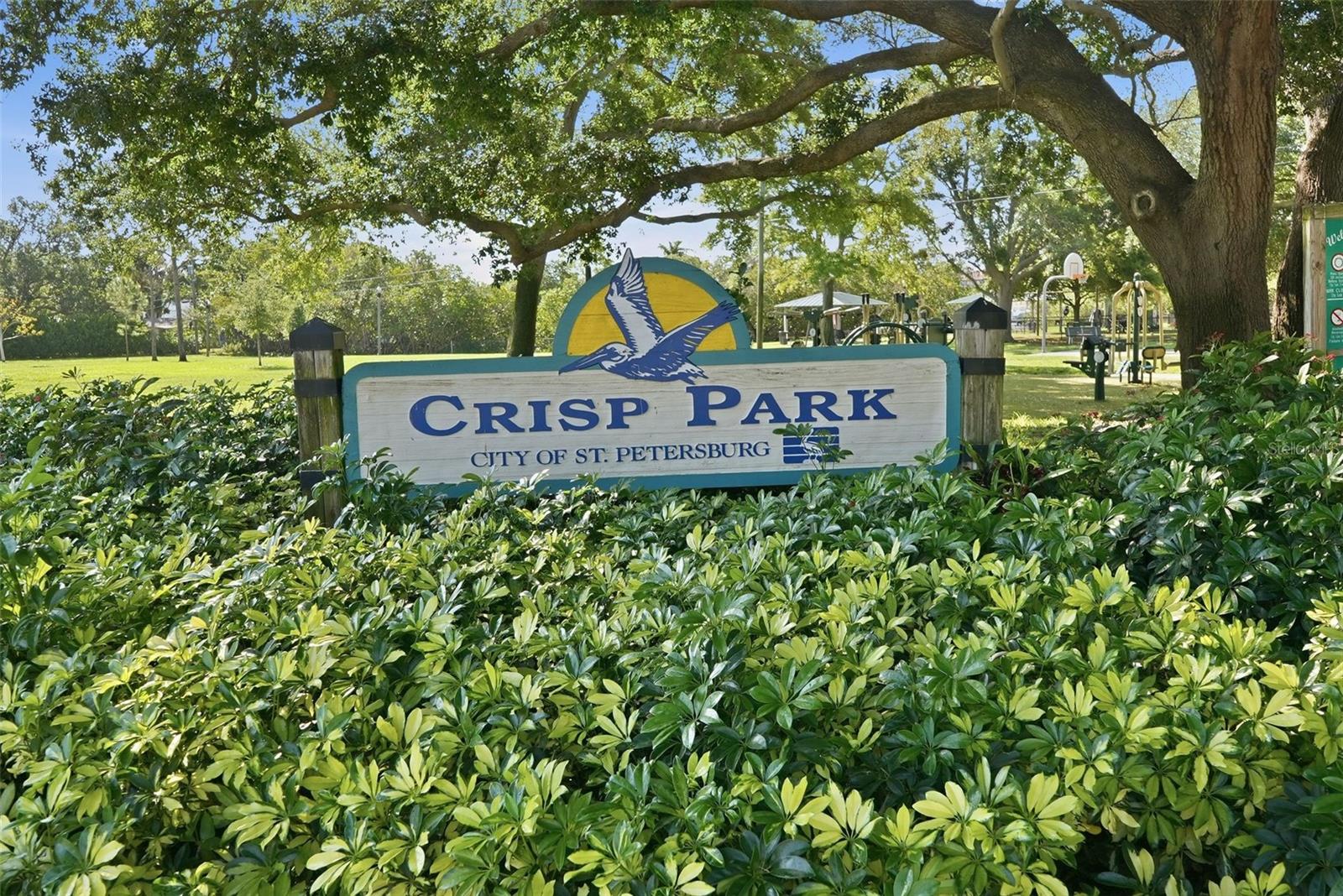 234 36TH AVE NE, ST PETERSBURG, FL, 33704